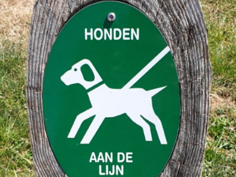 Broedseizoen: honden aan de lijn, wel zo fijn!
