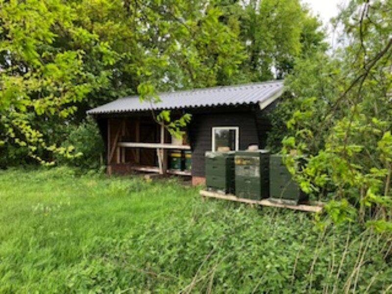 Wintertijd voor de bijen