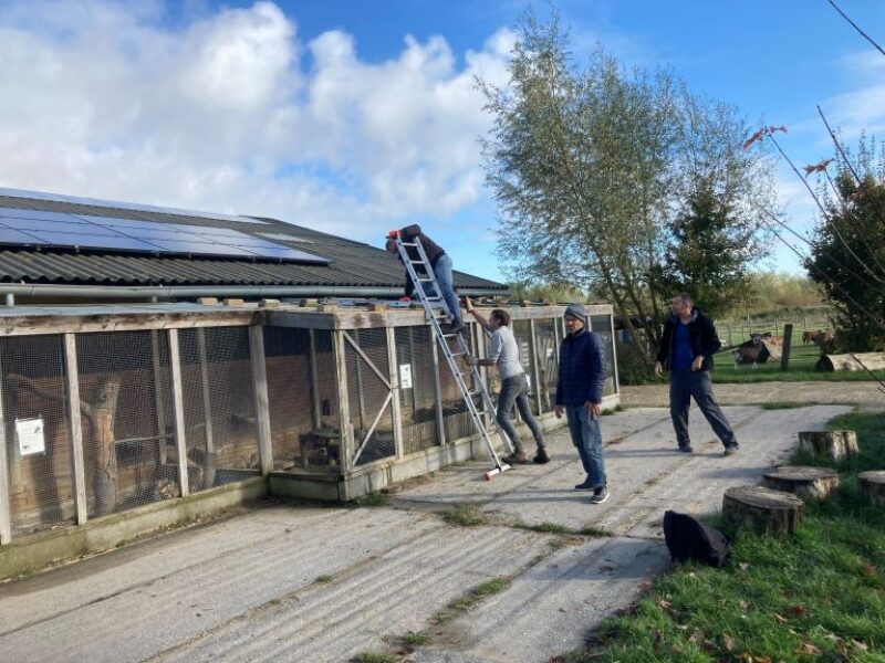 Afdak tegen vogelgriep