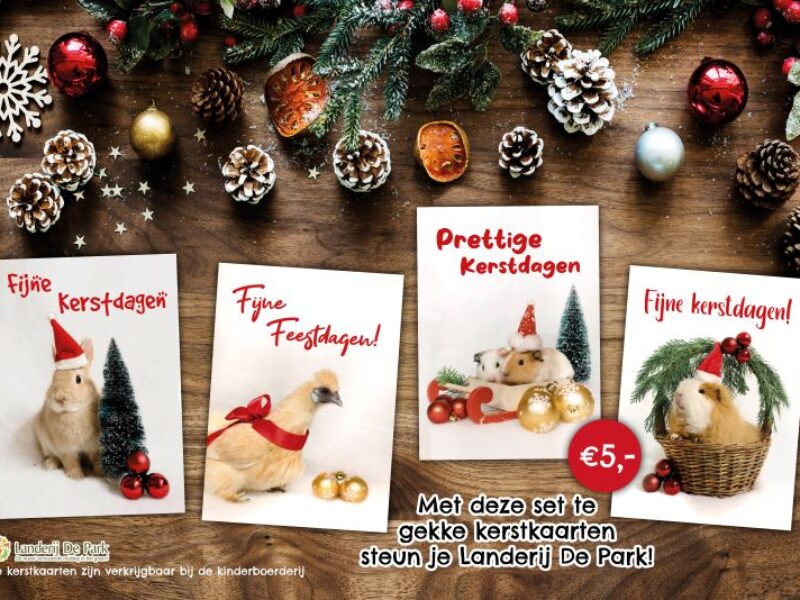 Stuur onze kerstkaart naar …