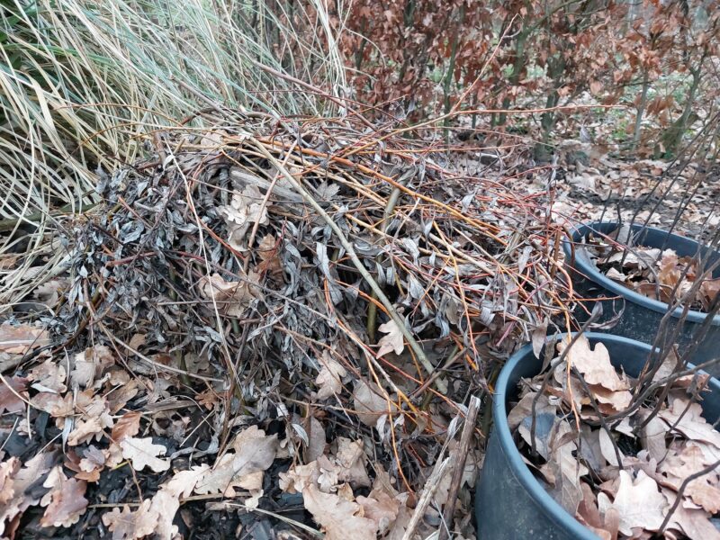 Wonen op de Landerij