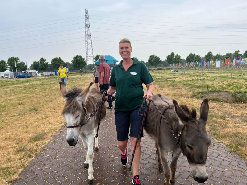 “Kan een geit omvallen…