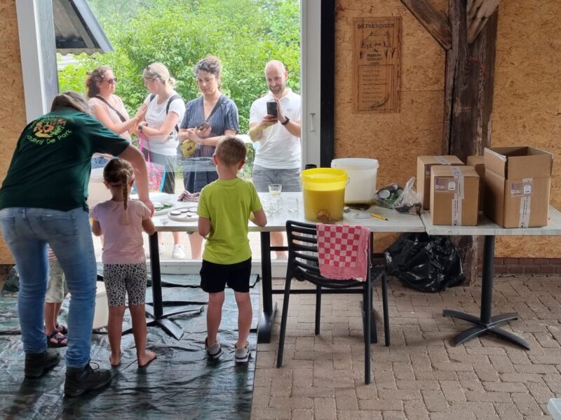 Zomerhoning slingeren