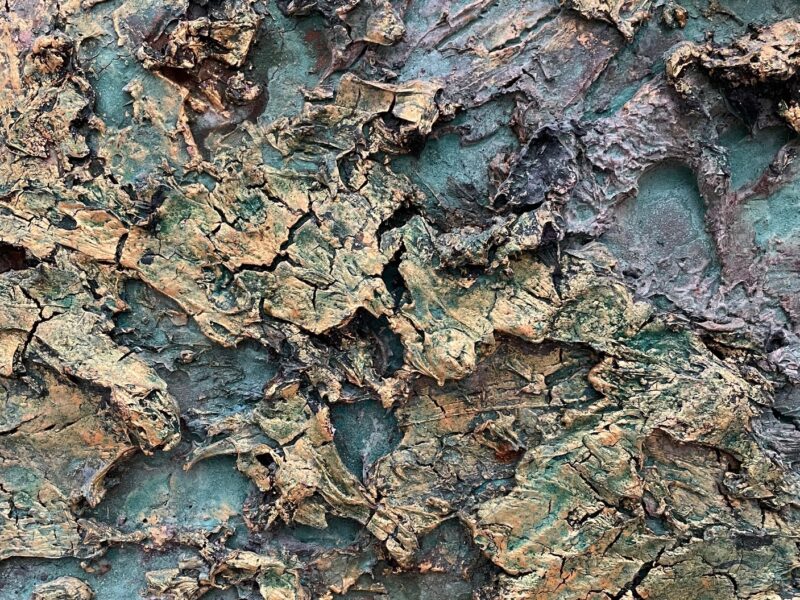 Voor niets gaat de zon op …