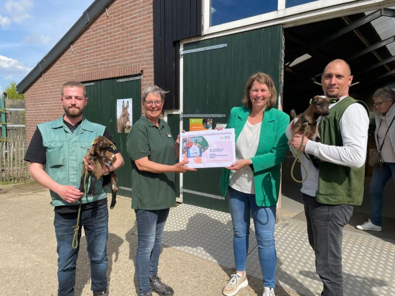 De wondercheque van Petra