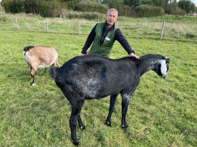 Danny Samson stelt zich voor