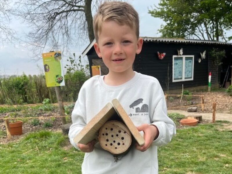 Twintig insectenhotels