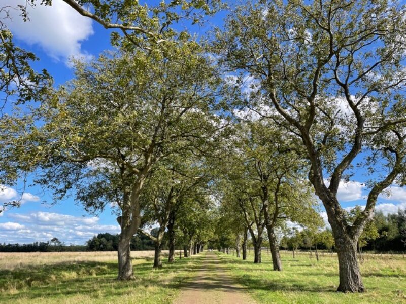 Natuur en gezondheid