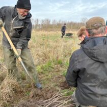 Blue zones en Iki gai